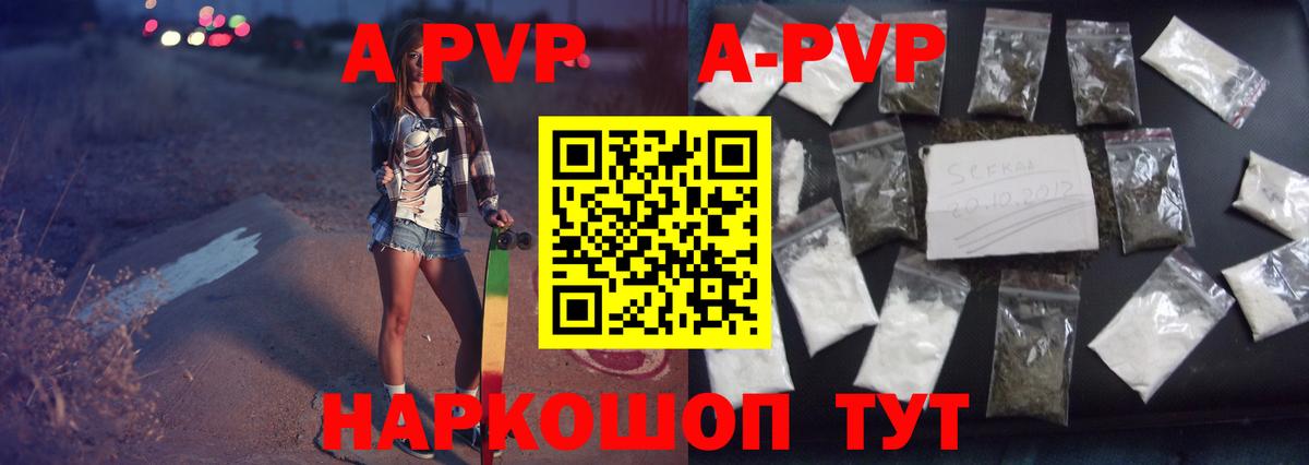 A PVP СК Губкинский