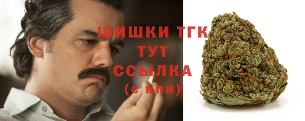 шишки Вязники