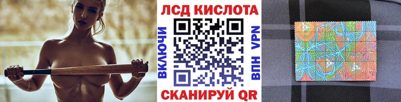 сколько стоит  Губкинский  Марки NBOMe 1500мкг 