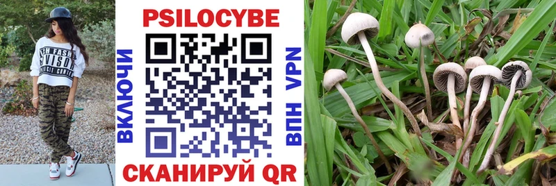 МЕГА ONION  Губкинский  Псилоцибиновые грибы Cubensis 