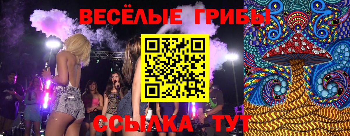 Псилоцибиновые грибы Psilocybine cubensis Губкинский